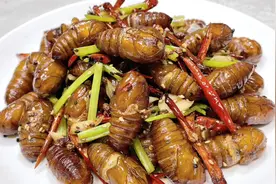 在家如何做干煸蚕蛹，既省油味道还好？焯、煸有诀窍，干香又酥脆视频封面