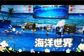 五一前一天去了贵阳海洋世界，180一个人，门票倒是不便宜视频封面