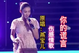 伤感情歌《你的谎言》歌声悠扬婉转伤感催泪旋律优美醉人心扉视频封面
