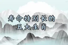 寿命特别长的五大生肖视频封面
