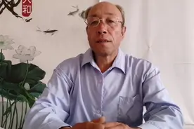 生肖马配生肖狗视频封面