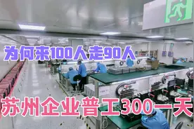苏州工厂普工300一天，为何来100当天走90人，看完要求不走怪！视频封面