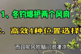 冬季钓鱼最好的两个风向和最佳的四个高效钓点！视频封面
