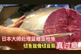 日本顶级大师处理蓝鳍金枪鱼，切鱼就像切豆腐，这肉看着就过瘾！视频封面
