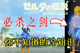 【塞尔达传说】必杀剑有多少你不知道的冷知识？视频封面