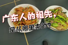 广东人的祖先，是从哪里来的？视频封面