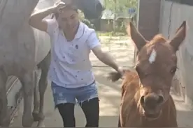 狼外婆虐待宝宝啦视频封面