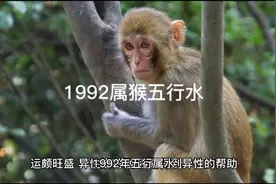 十二生肖守护神之1992属猴五行水视频封面