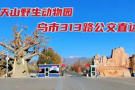 天山野生动物园，狮子老虎啥都有，乌市公交直达太方便了视频封面