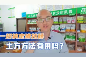 不花钱解决猪拉稀的方法很多，猪拉稀能不能一招搞定？这里有答案