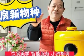 电饭锅和压力锅2合1，完美结合的厨房新物种视频封面