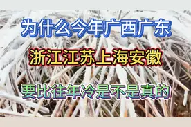 12月28号冷空气来临，听说广东人被广冻哭了！难道比广西还冷吗