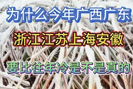 12月28号冷空气来临，听说广东人被广冻哭了！难道比广西还冷吗