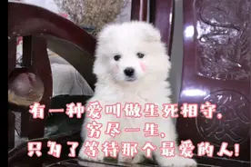 有一种爱叫做生死相守，穷尽一生，只为了等待那个最爱的人!视频封面