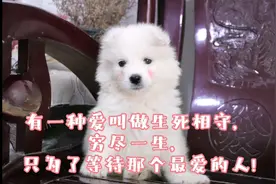 有一种爱叫做生死相守，穷尽一生，只为了等待那个最爱的人!视频封面