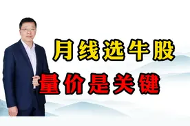 抓住一个牛股胜过十个牛市，怎么发现大牛股，看看月线就知道！视频封面