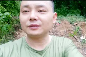 山上诱来的蜂，什么时候搬回家最为合适，今天茂哥给你一一道来。视频封面