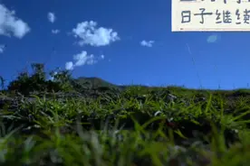 为什么藏族人不会产生高反？看完明白其中的“玄机”视频封面