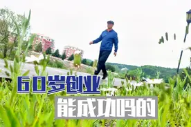 打工翻不了身，60岁灵活就业者创业，收入5、6000元，自己养老视频封面