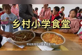 乡村小学学生在学校食堂吃午饭，西红柿炒鸡蛋还有土豆，真丰盛啊视频封面