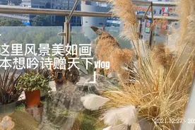 二胎宝妈孕妇照也可以这样拍，你的拍了吗？一起看看吧！视频封面