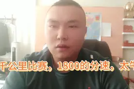 海南一千公里赛鸽比赛，当日归巢几十羽，十几羽赛鸽1800的分速视频封面