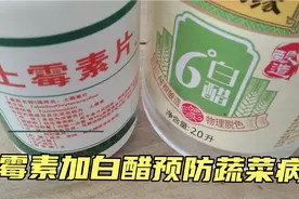 土霉素加白醋喷施各种蔬菜确实能起到杀虫灭菌作用。