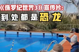 《侏罗纪世界3》宣传片:到处都是恐龙视频封面