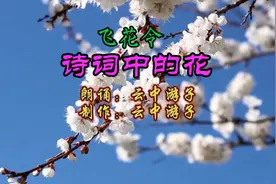 【诗词名句所赏】百花争艳，姹紫嫣红，“飞花令”敬请欣赏！视频封面