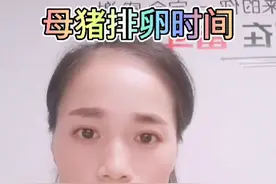 母猪排卵时间视频封面