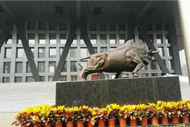 阿林带大家看看深圳深交所太霸气了祝大家牛年行大运视频封面