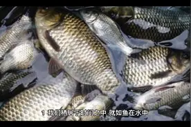 《时间的秩序》讲了什么呢视频封面