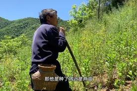 甘肃山区年轻人为什么纷纷离开了家乡，看看种地老伯，就有了答案视频封面