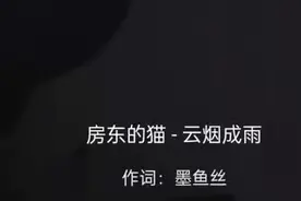 云烟成雨— 房东的猫视频封面