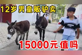 12岁男童来买驴，两头给价15000元，驴知道知道命不保，拼死挣扎视频封面