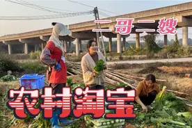 进城务工的二哥二嫂，一有空便到田间地头走走，农村才是他们的家视频封面