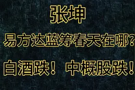 白酒和中概股跌跌不休！张坤的易方达蓝筹还有春天吗？视频封面