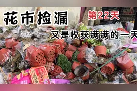阿姨真的又送我花啦，今天的花市堆积如山，最后还收获一大颗蓝莓视频封面