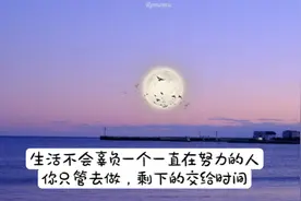 生活不会辜负一个一直在努力的人，你只管去做，剩下的交给时间视频封面