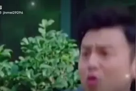 《我的后半生》精彩影视视频封面