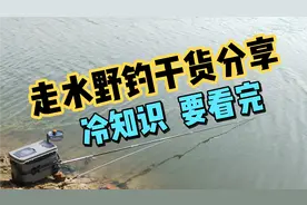 “走水”野钓冷知识，水底或根本不走水，经常钓流水的请认真看完视频封面
