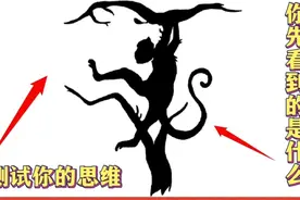 这张视觉图中，你首先看到的是什么？不要去思考，测试你的思维！视频封面
