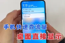 手机快速查流量方法，不发短信，教你设置一步，桌面自动显示！视频封面
