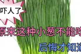 太吓人了，你还在吃小葱吗？不看不知道一看吓一跳！视频封面