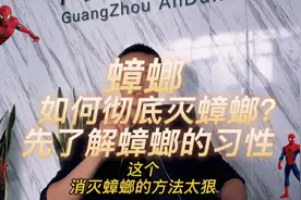 蟑螂小强 如何解决更彻底，一步到位视频封面