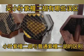 小叶紫檀二胡与普通紫檀二胡有什么区别？买紫檀二胡应该注意什么视频封面