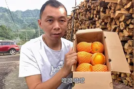传说经400天的轮回，晚熟天花板伦晚脐橙，今天第一次吃到了视频封面