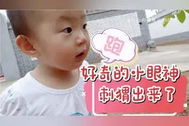 双胞胎宝宝一哭二闹要出门，姐姐看刺猬，妹妹提裤子逗乐邻居！视频封面