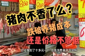 猪肉价格连续19周下跌，价格跌破养猪成本，猪肉还是卖不动？视频封面