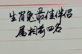 属兔人的最佳伴侣视频封面